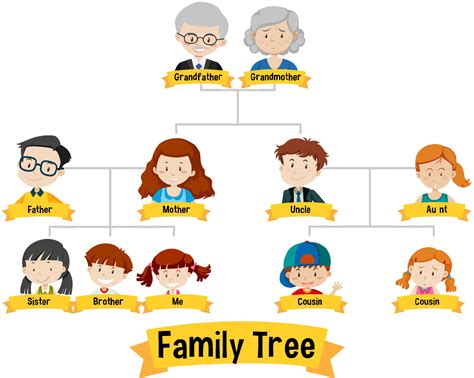 Diagram showing three generation family tree 1929008 Vector Art at Vecteezy