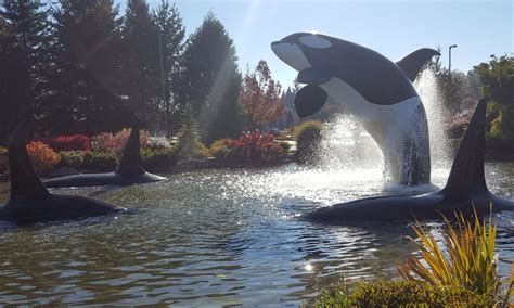 Tulalip Casino Buffet and Restaurants Guide - Seattle Travel