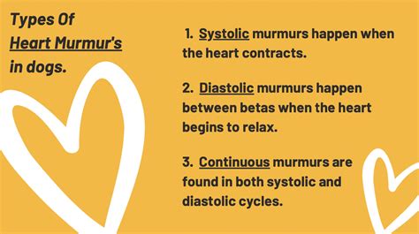 What's a Heart Murmur and Can CBD Help? - CBD Dog Health