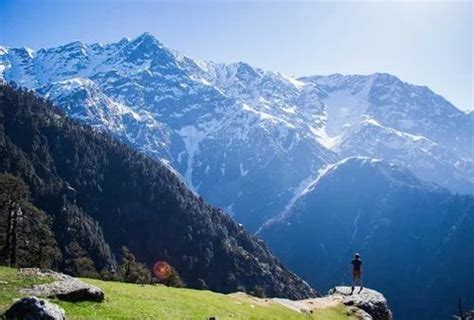 Palampur Dharamshala And Mcleodganj Tour Package in New Delhi | ID: 14855435191