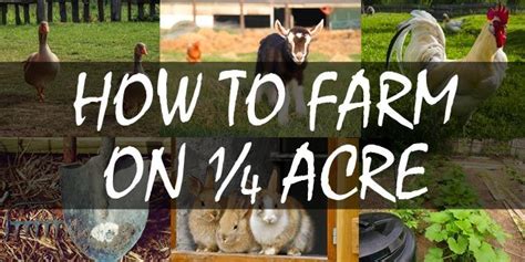 How to Farm on a Quarter Acre