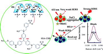 SERS quantitative analysis of trace HSA with a Coomassie brilliant blue G-250 molecular probe in ...