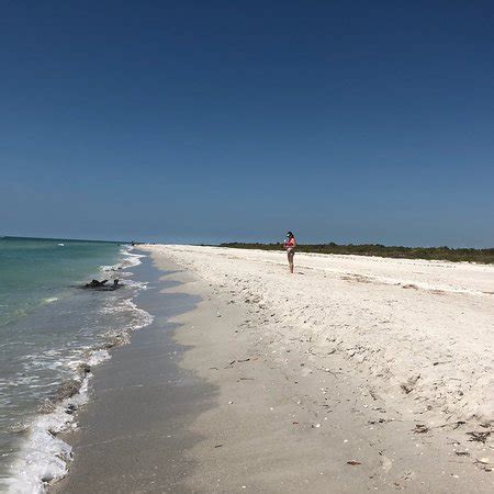 Bowman's Beach (Sanibel Island) - All You Need to Know Before You Go (with Photos) - TripAdvisor