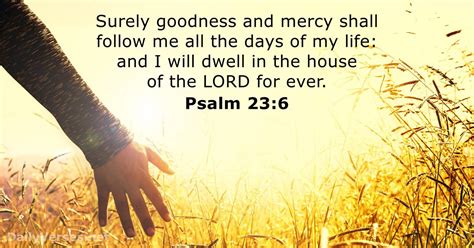 Psalm 23:6 - Bible verse (KJV) - DailyVerses.net