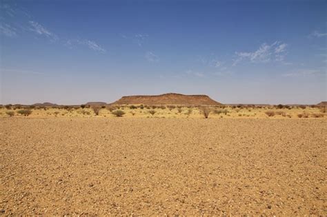 Premium Photo | Sahara desert of sudan