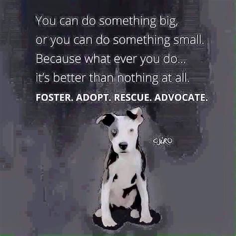 Animal Shelter Rescue Dog Quotes - ShortQuotes.cc