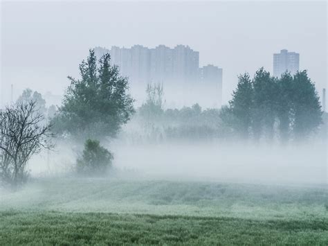 清晨轻雾*（手机咔嚓） - 天府摄影 - 天府社区