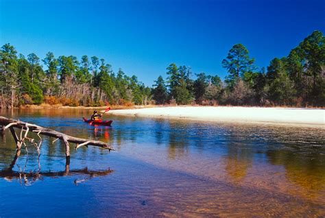 Blackwater River boasts an incredible array of activities for the outdoor enthusiast, many ...