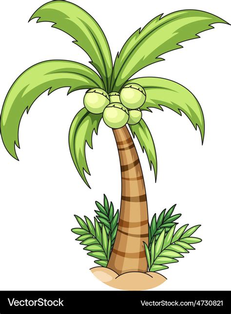 Coconut tree Royalty Free Vector Image - VectorStock