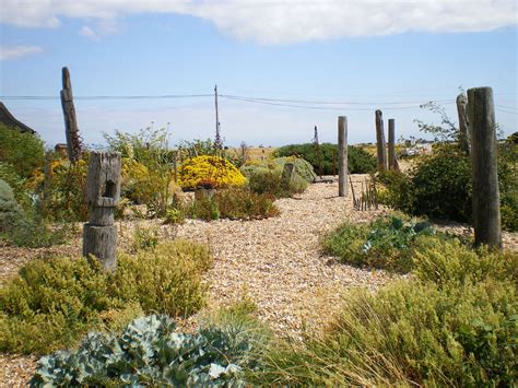 Derek Jarman's garden Dungeness | Seaside garden, Beach gardens, Garden pots