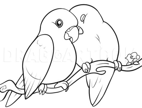 How To Draw Lovebirds, Step by Step, Drawing Guide, by Dawn | dragoart ...