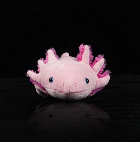 Pink Axolotl Soft Stuffed Plush Toy – Gage Beasley