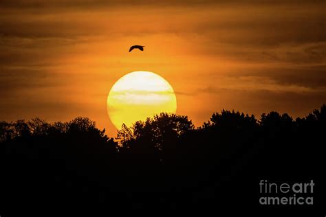 Good Friday Sunrise Photograph by Keith Morris - Fine Art America