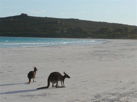 Nele & Andrew Around Oz: Lucky Bay, Cape LeGrand National Park, WA