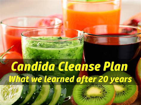 Candida Cleanse: What we learned in 20 years of yeast cleansing