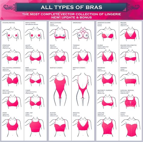 Premium Vector | Types of bras collection lingerie