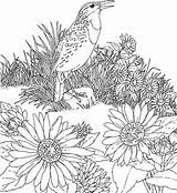 Free Printable Sunflower Coloring Pages For Kids sketch template