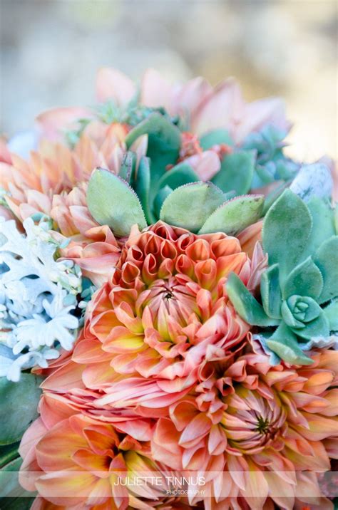 Bohemian Bouquets | Bohemian bouquet, Wedding flowers, Flowers bouquet