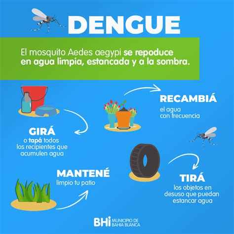 Recomendaciones para prevenir el Dengue | Prensa Bahía