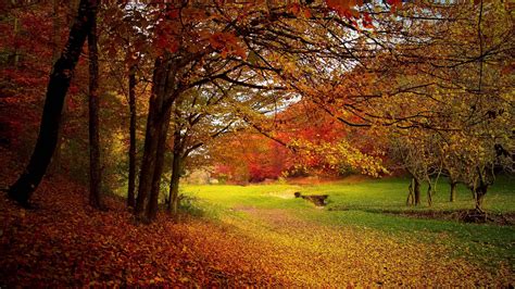 Download Autumn Season Meadows Wallpaper | Wallpapers.com