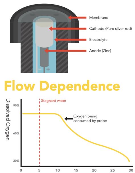 Atlas Scientific Dissolved Oxygen Test Solution - Robesol