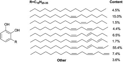 Synthesis and properties of thermosetting resin based on urushiol - RSC ...