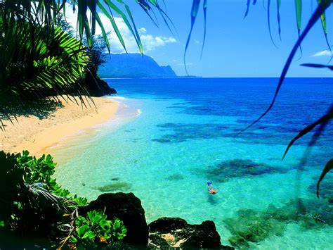 Free Wallpaper Hawaii Beaches - WallpaperSafari