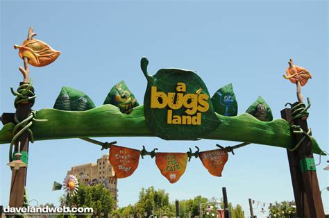 A Bug's Land - Disney's California Adventure Photo (4535709) - Fanpop