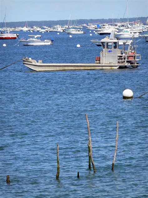 Photos - Arcachon bay - 34 quality high-definition images