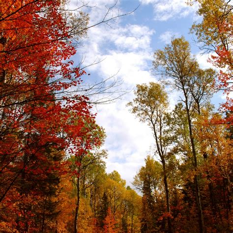 Seeing the Treasures of Fall Foliage at Clingmans Dome, Great Smokey ...