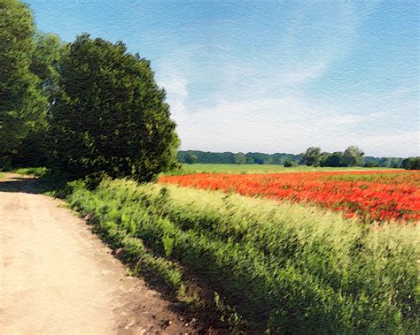 Poppy Fields Watercolor Painting Free Stock Photo - Public Domain Pictures