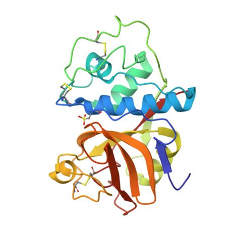 RCSB PDB - 9PAP: STRUCTURE OF PAPAIN REFINED AT 1.65 ANGSTROMS RESOLUTION