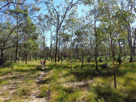 Deception Bay, Australia: All You Must Know Before You Go (2024 ...