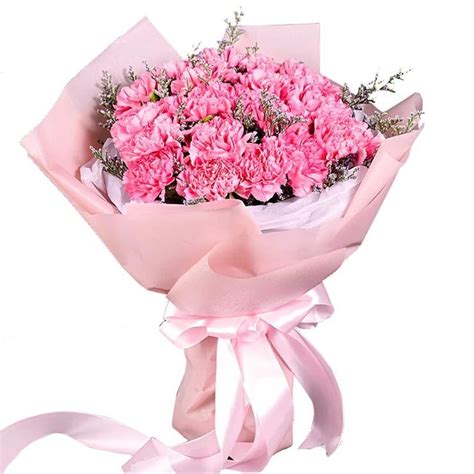 Bouquet Of Pink Carnations | Online Gift and Flowers