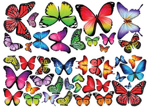 Premium Fabric Butterfly Decals Peel and Stick Colorful Butterflies ...