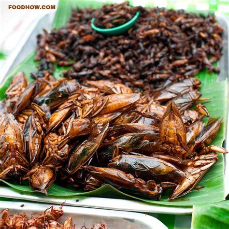 6 Best Edible Insects And Bugs And Ones You Should NOT Eat!