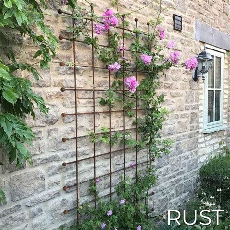 Metal Garden Trellis - Harrod Horticultural | Brick wall gardens, Metal ...