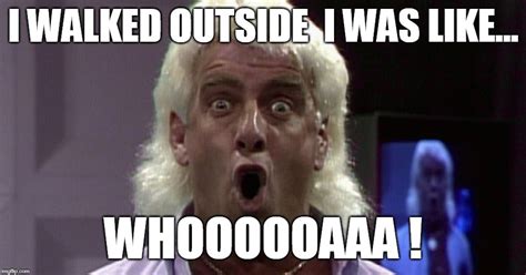 Rick flair woo Memes - Imgflip