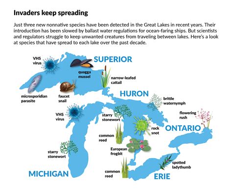 Battle looms over laws to slow spread of invasive species in Great Lakes | Bridge Magazine