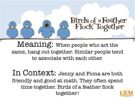 Birds of a feather flock together – Learning English Matters