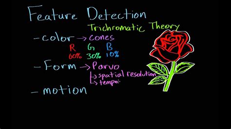 Vision: Feature Detection & Parallel Processing - YouTube