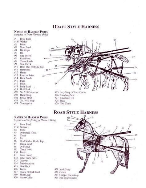 Harness Parts Guide