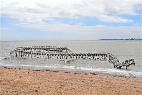 CAROLINA NATURALLY: The Skeleton of a Giant Sea Snake Washes Ashore in France