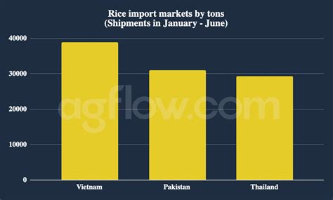 The Philippine Rice Output Hits an All-Time High of 20 Million Tons