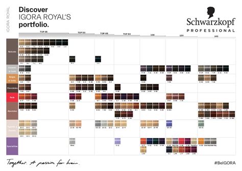 Igora Vibrance Gloss Color Chart - Colorxml