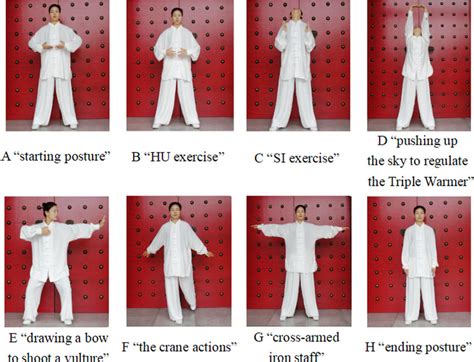 The movements of pulmonary-based Qigong exercise. The participant in ...