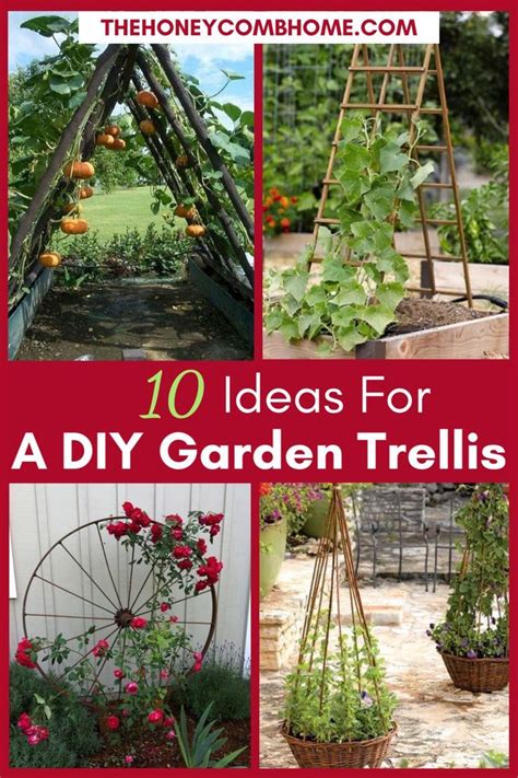 10 DIY Garden Trellis Ideas - The Honeycomb Home | Diy garden trellis, Upcycle garden, Diy trellis