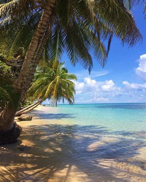 Little Corn Island, Nicaragua | Fotografie natuur, Achtergronden, Fotografie