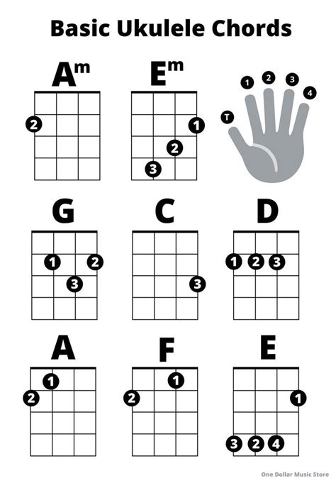 Beginner Ukulele Basic Chords Sheet Great for Beginners - Etsy | Ukulele beginner, Ukulele songs ...