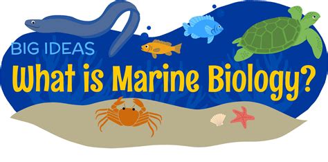 marine biology clipart 10 free Cliparts | Download images on Clipground ...